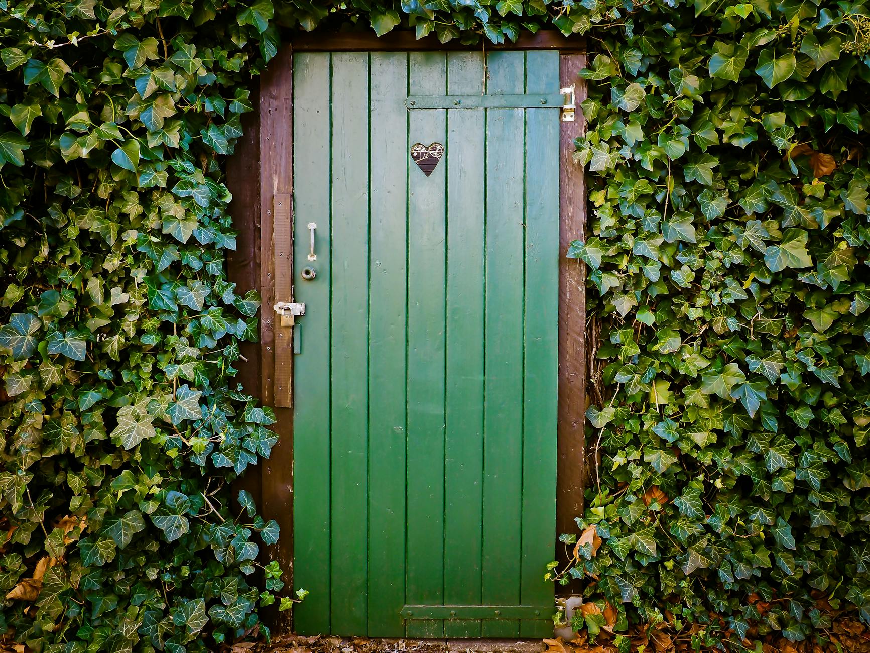What If Your Comfort Zone Had a Door?