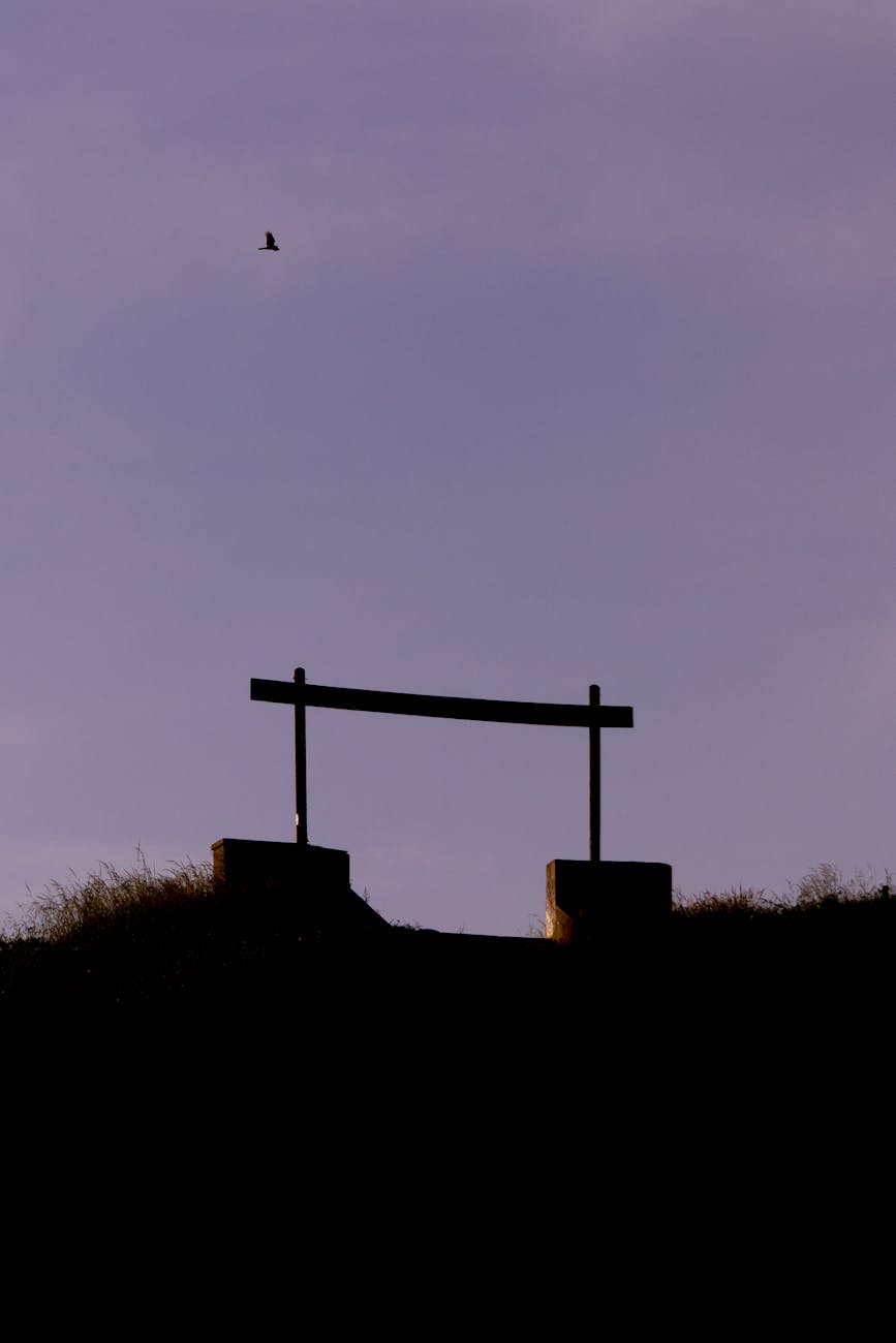 What You Notice Now That You Couldn’t See Before